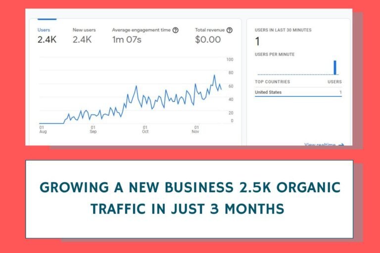 Growing A New Business 2.4k Organic Traffic in Just 3 Months